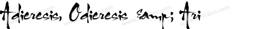 Adieresis, Odieresis & Aring字体转换